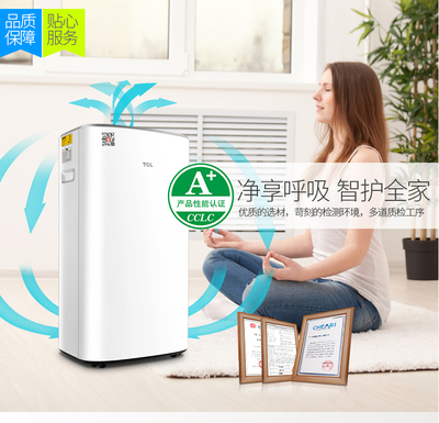 TCL 空氣凈化器 智能遙控 家用除甲醛霧霾煙塵PM2.5 TKJ619F 天鵝白